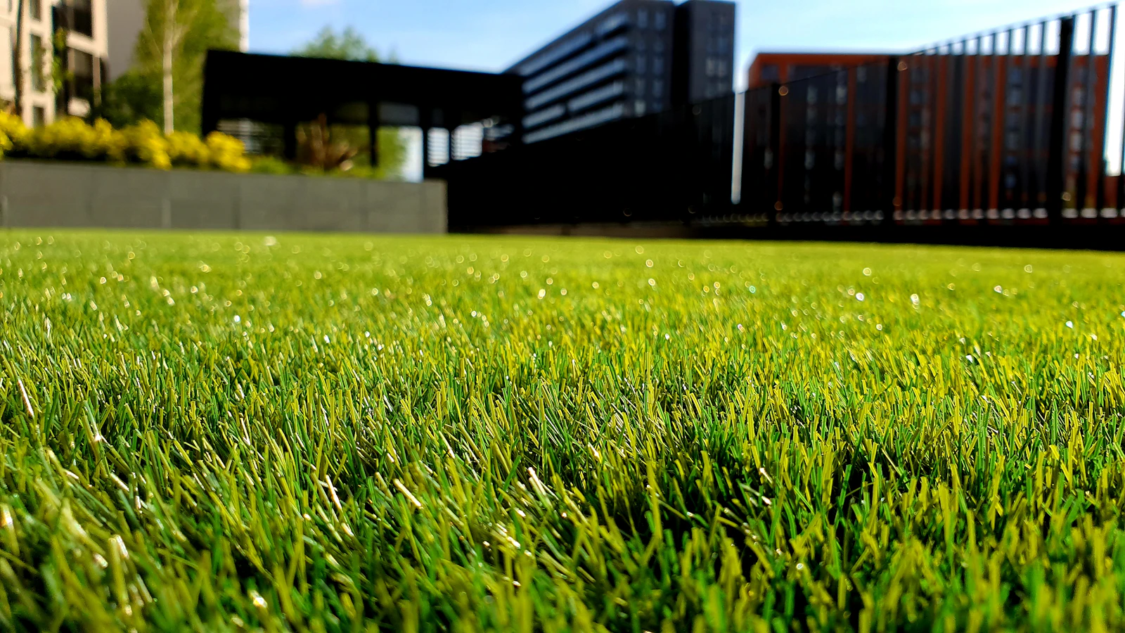 Freshly cut green lawn